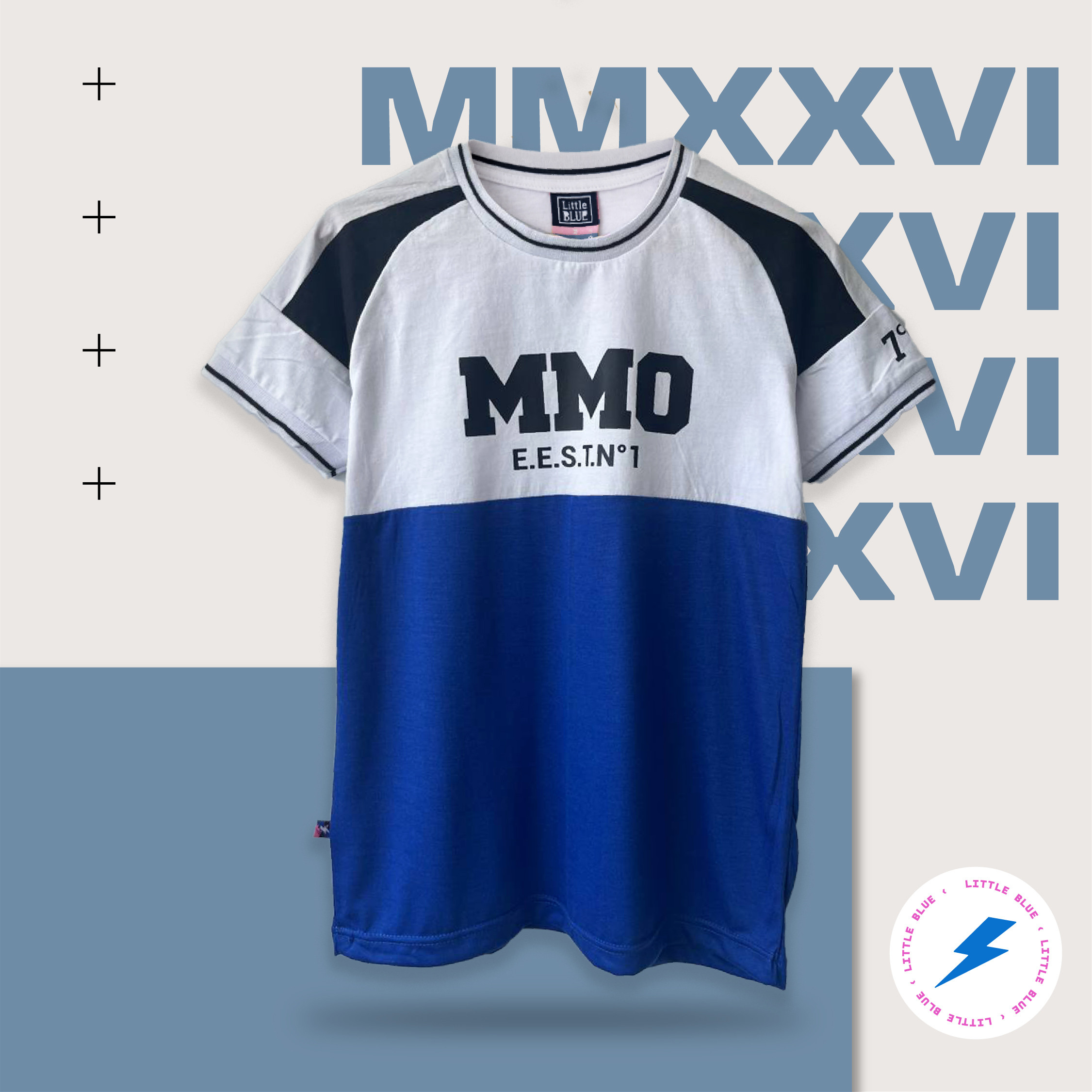 Remera de Egresados Remera manga ranglan alternativa